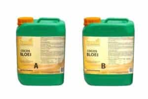 Ferro Cocos Bloei A+B 5 ltr