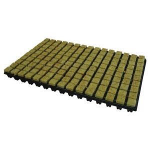 Cultiwool Steinwolltray 2x2 cm 150 Stk. (pro Tray)