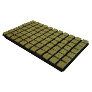 Cultiwool Steinwolltray 4x4 cm 77 Stk. (pro Tray)