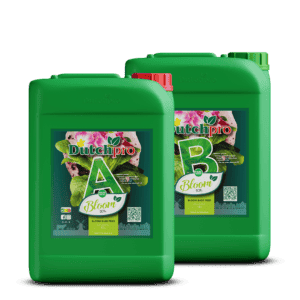 DutchPro Aarde/Soil Bloom A+B 10 ltr