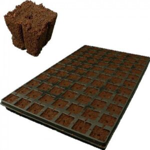 Eazy Plug CT77, 4x4 cm, 77 st. (per tray)