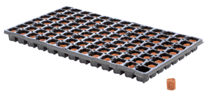 Eazy Plug CT104 rond, 3,5 x 2 cm 104 St. (per Tray)