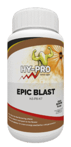 HY-PRO Epic Blast is een voedingssupplement voor planten, speciaal ontwikkeld voor de bloeifase. Dit product bevat een NPK-verhouding van 1-8-7 en is geschikt voor gebruik met kokosgrond. De verpakking is wit met een kleurrijk etiket dat informatie biedt over de samenstelling en toepassing. Epic Blast bevordert de opname van voedingsstoffen, wat resulteert in een optimale bloei en energie voor de plant. Het product bevat bovendien fosfaten die bijdragen aan een betere celgeneratie. De inhoud van de pot is specifiek ontworpen voor hobbyisten en professionele telers die streven naar een hogere oogst.