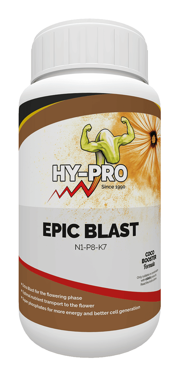 HY-PRO Epic Blast is een voedingssupplement voor planten, speciaal ontwikkeld voor de bloeifase. Dit product bevat een NPK-verhouding van 1-8-7 en is geschikt voor gebruik met kokosgrond. De verpakking is wit met een kleurrijk etiket dat informatie biedt over de samenstelling en toepassing. Epic Blast bevordert de opname van voedingsstoffen, wat resulteert in een optimale bloei en energie voor de plant. Het product bevat bovendien fosfaten die bijdragen aan een betere celgeneratie. De inhoud van de pot is specifiek ontworpen voor hobbyisten en professionele telers die streven naar een hogere oogst.
