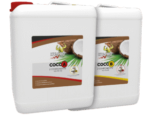 **Hy-Pro Coco A en B – Twee componenten meststoffen**Set van twee opslagflessen, 1 liter per stuk, voor de Taiwanese kokosgrond. Coco A (N3-P0-K2) en Coco B (N1-P3-K4) zijn speciaal ontwikkeld voor de verzorging van planten in een kokosmedium. Beide producten bevatten essentiële voedingselementen die de groei en bloei van planten bevorderen zonder residu achter te laten. Deze natuurrijke meststoffen zijn geschikt voor gebruik in duurzame tuinbouw.Ideaal voor hobbyist en professionele telers die streven naar optimale plantgezondheid en resultaat.
