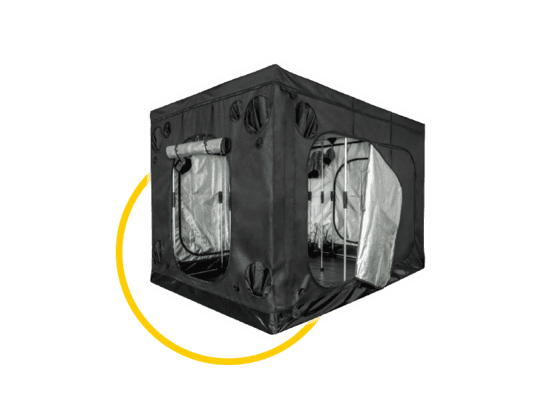 Mammoth Elite+ S.A. (Stand Alone)