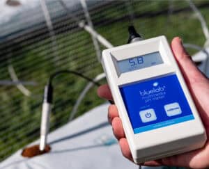 Multimedia pH meter van Bluelab met een leesbaar display dat een pH-waarde van 5,8 toont. Het apparaat is ontworpen voor het meten van pH-niveaus in diverse voedingsoplossingen en bodemsoorten. Gemaakt van duurzame materialen, het biedt precisie en gebruiksgemak met functies zoals automatisch uitschakelen en kalibratiemogelijkheden. Geschikt voor zowel professionele kwekers als hobbyisten in de planten- en tuinbouwsector.