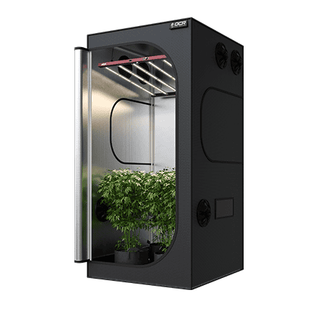 OCR Growboxen