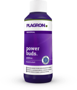 Plagron Power Buds 100 ml