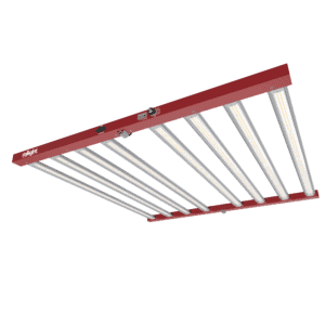 Ralight LED 1000W 8 bars 120X120cm