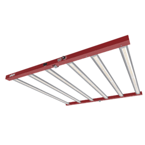 Ralight LED 720W XS 6 bars 100X100cm