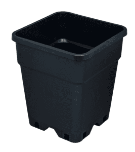 Kweekpot 2 liter vierkant 13x13x17 cm