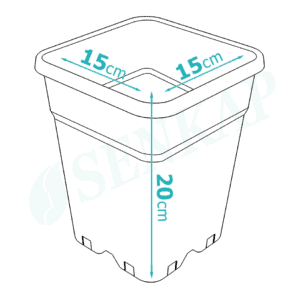 Rechthoekige kunststof pot met een afmeting van 15 cm breed, 15 cm diep en 20 cm hoog. Geschikt voor het kweken van planten en groenten. Deze pot heeft drainagegaten voor een goede afwatering en is hersluitbaar voor hergebruik. Het materiaal is duurzaam en kan bijdragen aan een milieuvriendelijke tuinierpraktijk.
