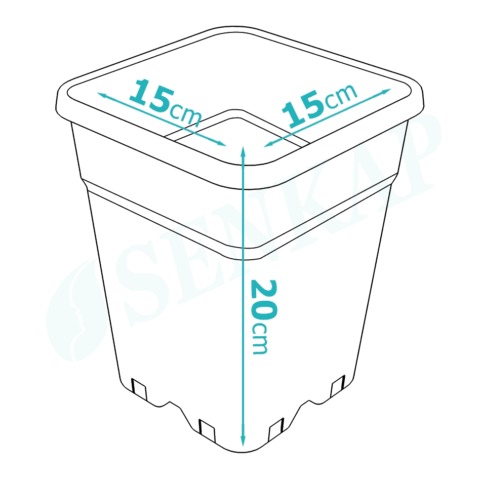 Rechthoekige kunststof pot met een afmeting van 15 cm breed, 15 cm diep en 20 cm hoog. Geschikt voor het kweken van planten en groenten. Deze pot heeft drainagegaten voor een goede afwatering en is hersluitbaar voor hergebruik. Het materiaal is duurzaam en kan bijdragen aan een milieuvriendelijke tuinierpraktijk.