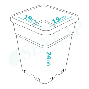 Vierkante kunststof pot met een afmeting van 19 cm breed, 19 cm diep en 24 cm hoog. Geschikt voor het verpotten van verschillende planten. Gemaakt van kunststof, waardoor het lichtgewicht en duurzaam is. De pot heeft drainagegaten aan de onderkant voor een optimale afwatering. Ideaal voor zowel binnen- als buitentoepassingen. Kan bijdragen aan een milieuvriendelijke tuin, afhankelijk van de gebruikte materialen.