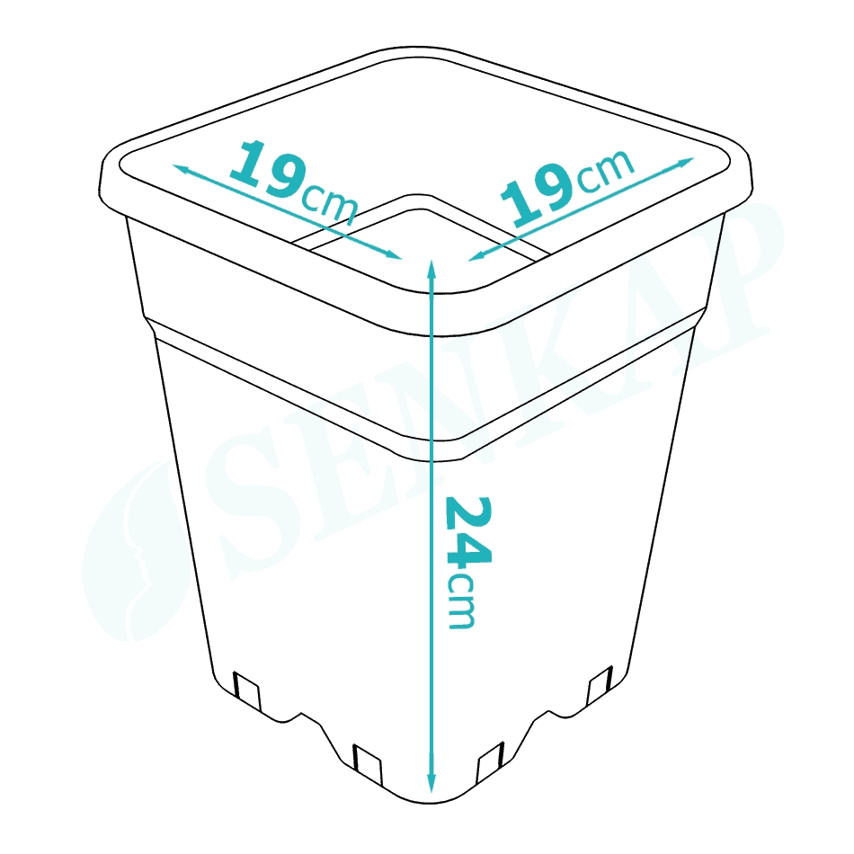Vierkante kunststof pot met een afmeting van 19 cm breed, 19 cm diep en 24 cm hoog. Geschikt voor het verpotten van verschillende planten. Gemaakt van kunststof, waardoor het lichtgewicht en duurzaam is. De pot heeft drainagegaten aan de onderkant voor een optimale afwatering. Ideaal voor zowel binnen- als buitentoepassingen. Kan bijdragen aan een milieuvriendelijke tuin, afhankelijk van de gebruikte materialen.