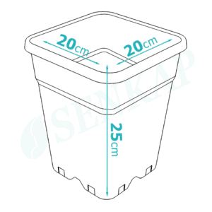 Vierkante plantenpot van 20 cm breed, 20 cm diep en 25 cm hoog. Gemaakt van duurzaam kunststof, geschikt voor binnen- en buitentoepassingen. De pot heeft afvoergaten voor optimale drainage. Geschikt voor verschillende soorten planten en kruiden.