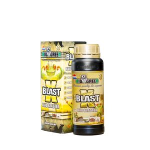X Blast Bud Blaster van Biody Green is een hoogwaardige voedingssupplement voor planten. Het product komt in een zwarte fles met een gouden dop en heeft een inhoud van 250 milliliter. De verpakking is voorzien van een kleurrijke illustratie van een kikker en informatie over de toepassing van het product. X Blast is speciaal ontwikkeld om de bloei van planten te stimuleren en is samengesteld uit natuurlijke ingrediënten, wat bijdraagt aan een duurzame tuinbouwpraktijk. Dit product is geschikt voor zowel binnen- als buitenteelten.