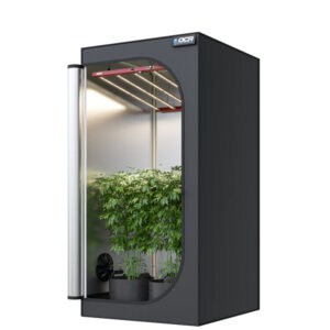 OCR Light 100 (100x100x180 cm)