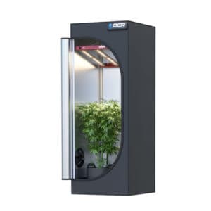 OCR Light 45 (45x45x120 cm)