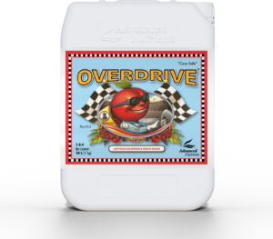 Green Trading Supplement mit energetischem, fruchtigem Geschmack für Sport und Regeneration.