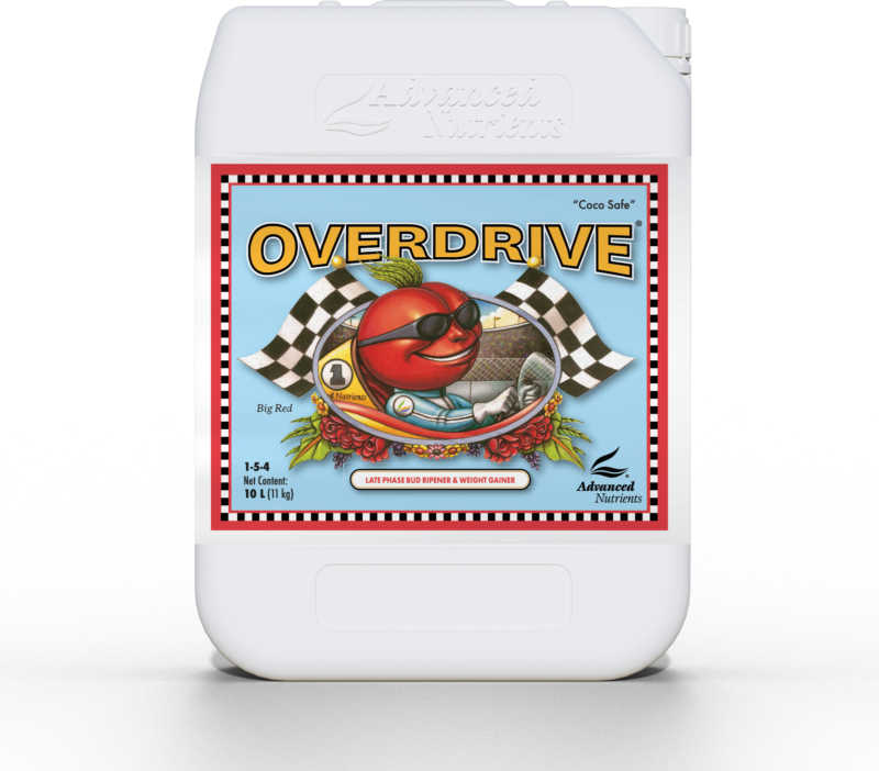 Green Trading Supplement mit energetischem, fruchtigem Geschmack für Sport und Regeneration.