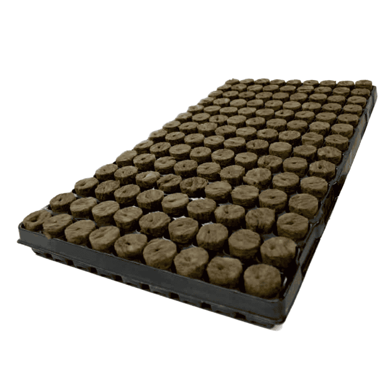 Anzuchtschale mit Kokos-Quelltabs für Pflanzen und Gartenarbeit.