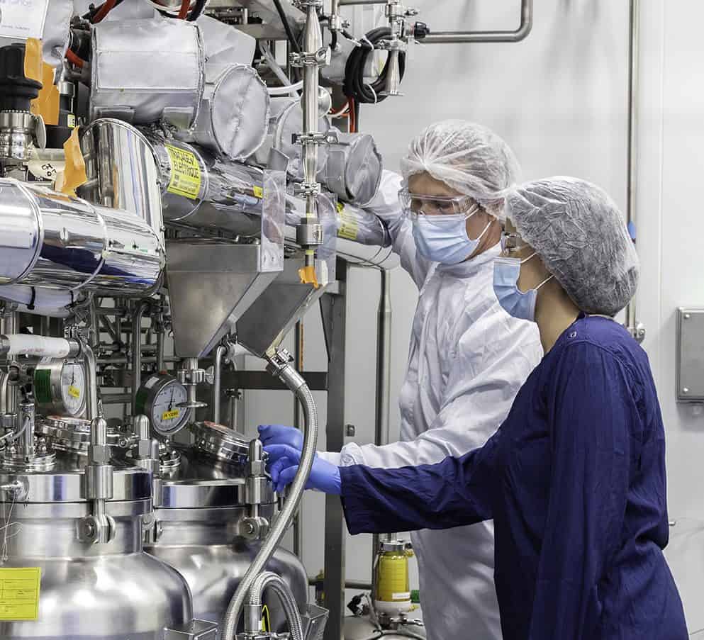 Cell line Development process