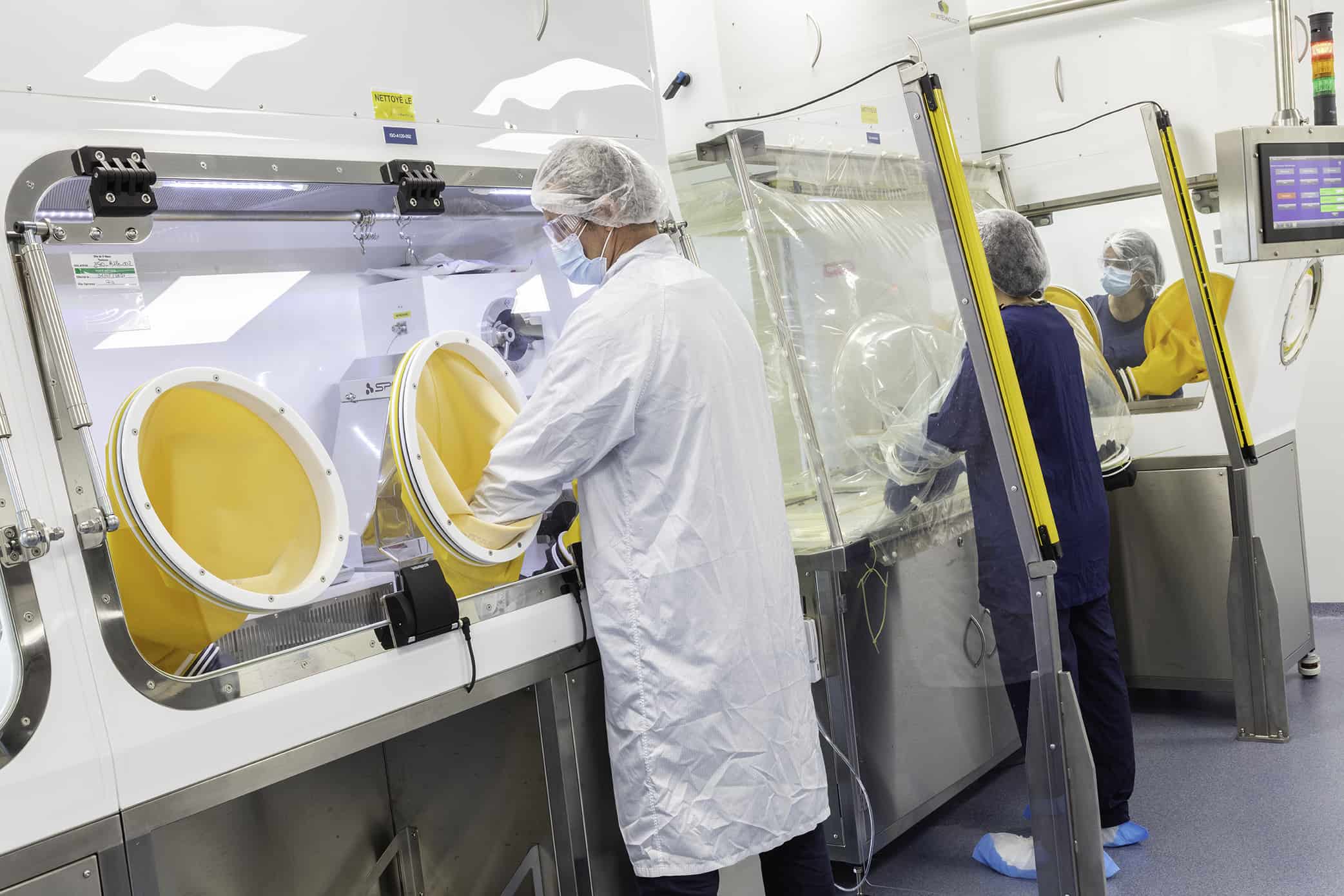 Cell line Development process