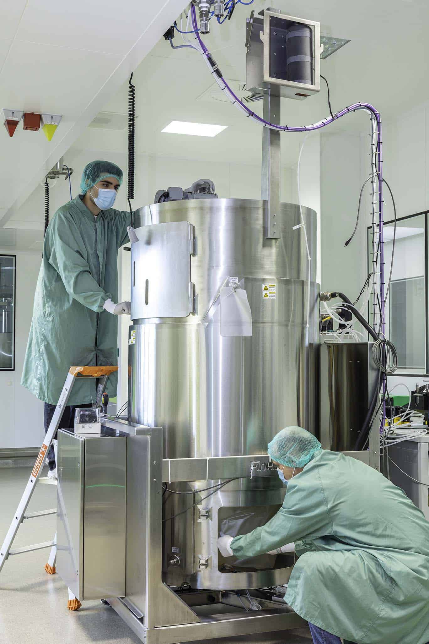 Mammalian GMP Manufacturing for Biologics