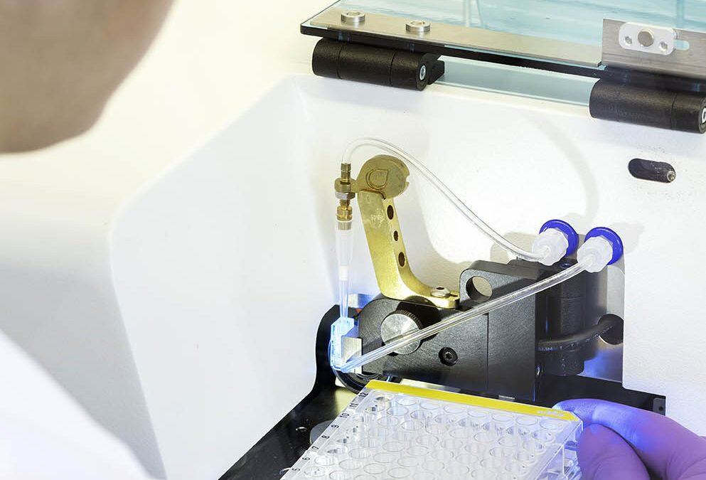 5 Key Steps in GMP Cell Line Development Process