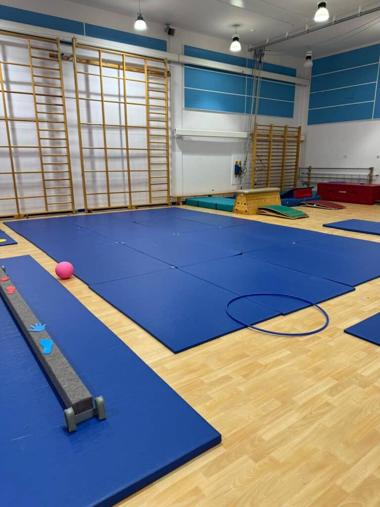 Soft gym mats and play equipment in a well-lit indoor gymnastics training room with wooden climbing frames, foam blocks, and colourful training accessories for children and athletes.