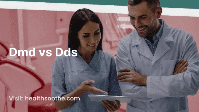 Dmd vs Dds