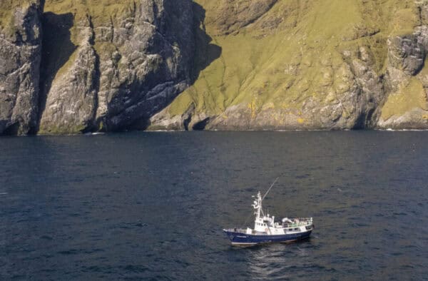 Beautiful Hebrides coastline with towering cliffs and ocean wildlife.