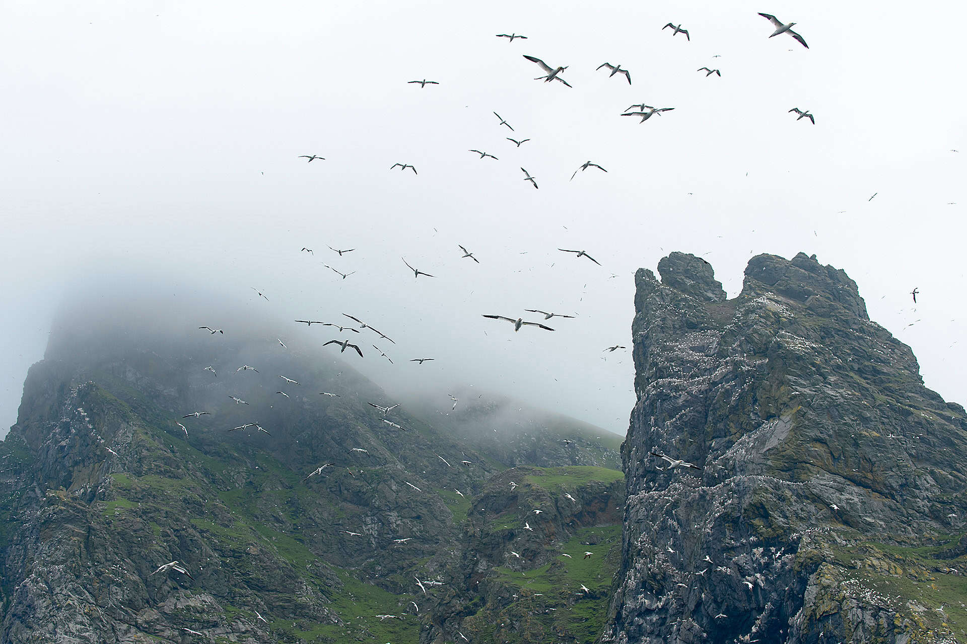 Boreray Cliffs