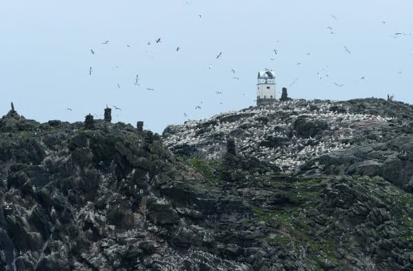 Seagulls soar near a lighthouse on rugged Hebridean cliffs, highlighting scenic coastal adventures.