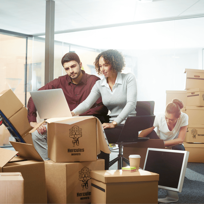 company with boxes