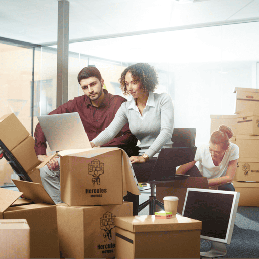 company with boxes