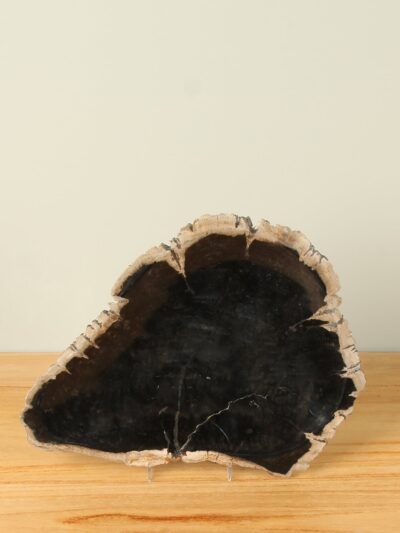 Fruitschaal – Zwart – Versteend hout – 24 cm