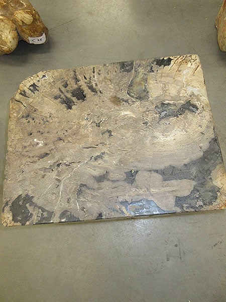 Versteend hout - Donkerbruin - Versteend hout - 30x46x36 cm - Afbeelding 3