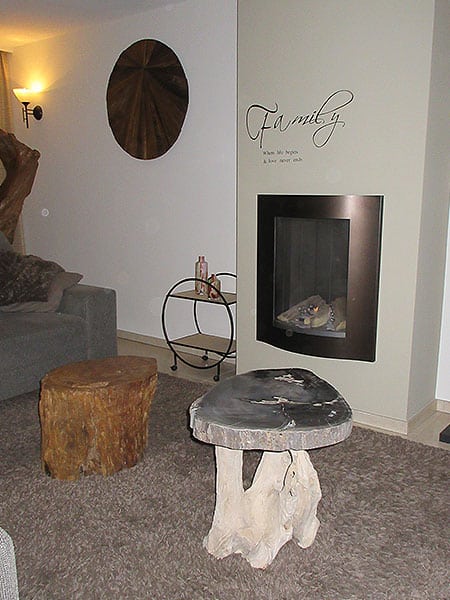 Versteend hout - Donkerbruin - Versteend hout - 30x46x36 cm - Afbeelding 4