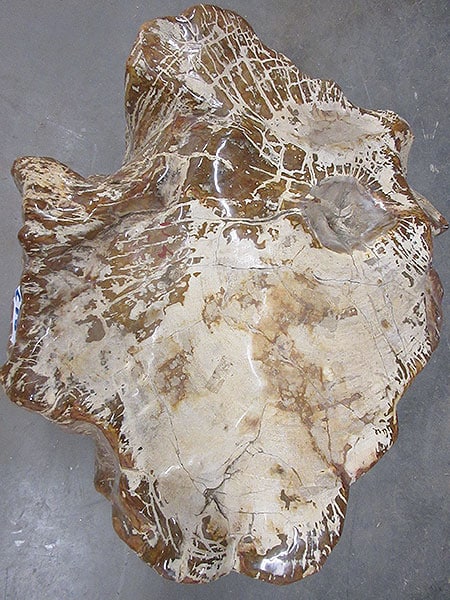 Versteend hout - Donkerbruin - Versteend hout - 40x55x45 cm - Afbeelding 3