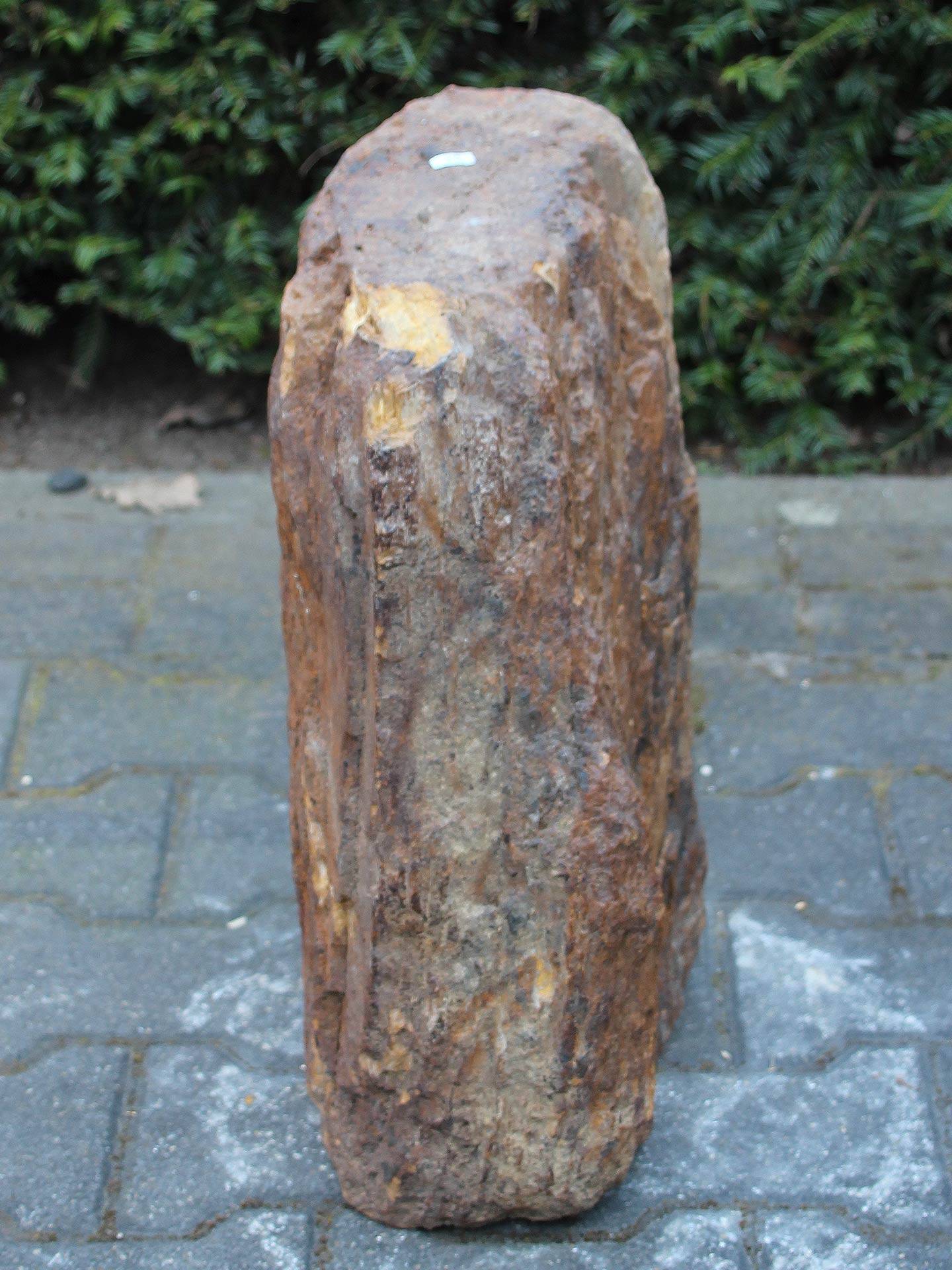 Versteend hout - Donkerbruin - Versteend hout - 48x30x18 cm - Afbeelding 2