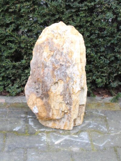 Versteend hout – Donkerbruin – Versteend hout – 51x30x25 cm