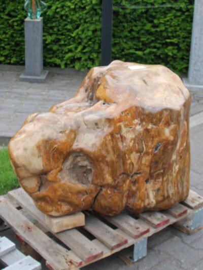 Versteend hout – Donkerbruin – Versteend hout – 62x80x45 cm