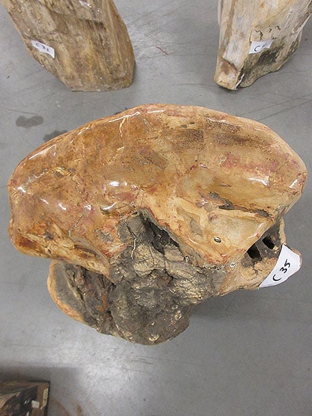 Versteend hout - Donkerbruin - Versteend hout - 65x40x30 cm - Afbeelding 3