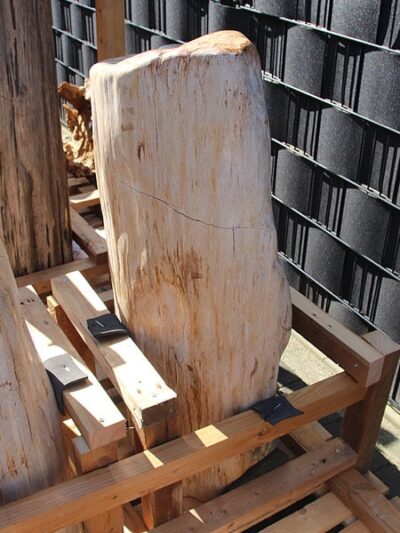 Versteend hout – Lichtbruin – Versteend hout – 100x45x35 cm