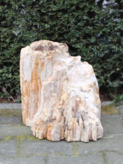 Versteend hout – Lichtbruin – Versteend hout – 34x40x38 cm