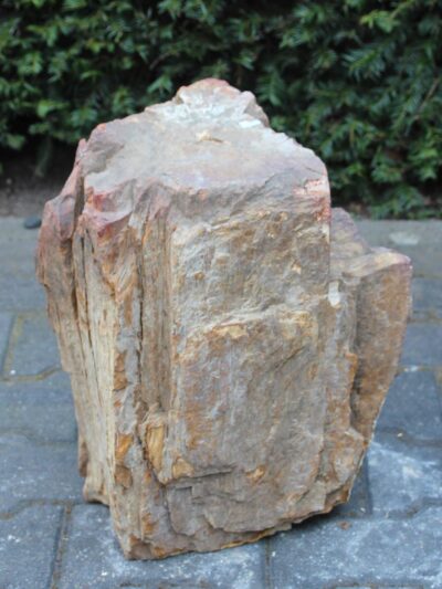 Versteend hout – Lichtbruin – Versteend hout – 43x36x28 cm