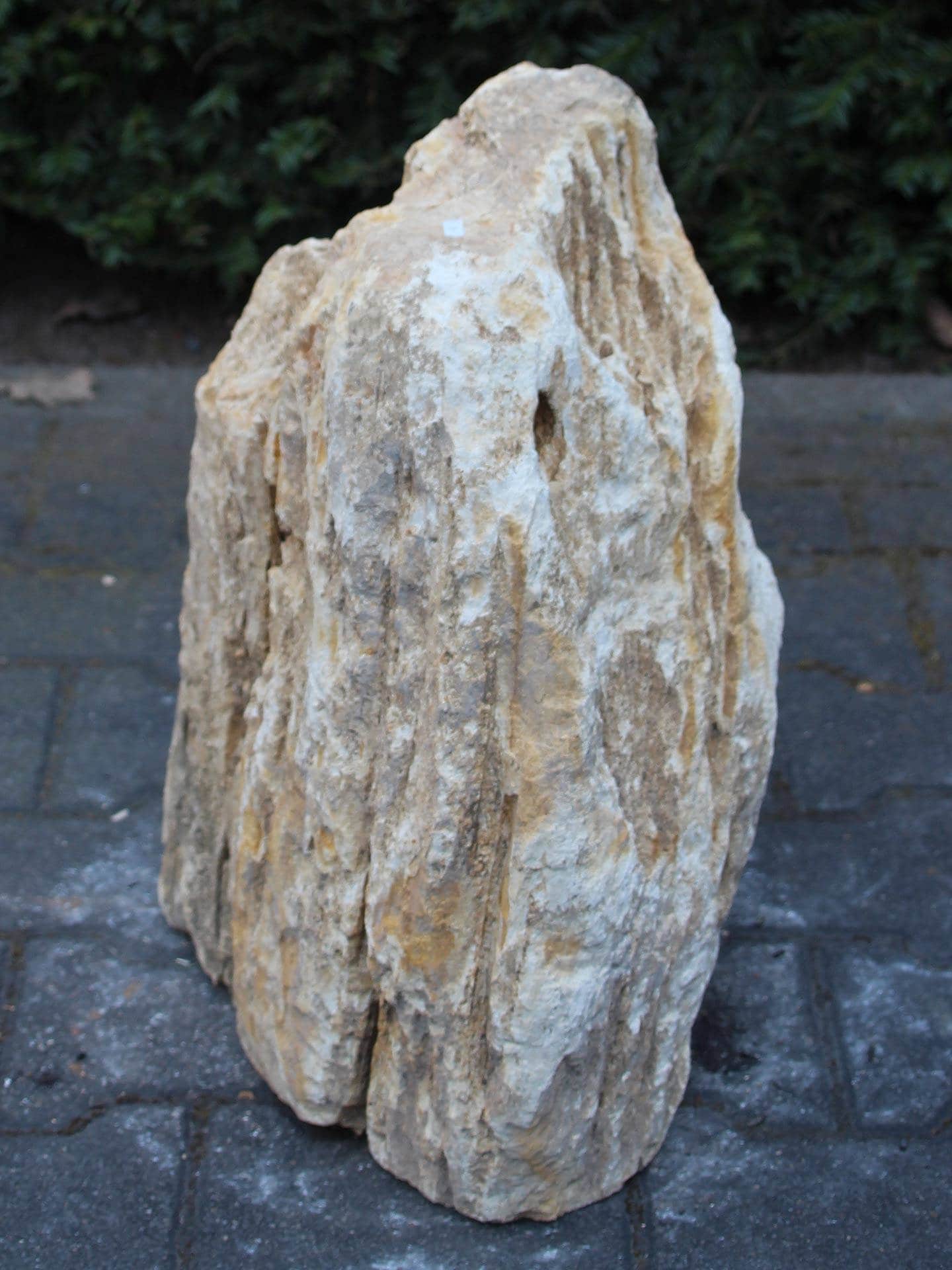 Versteend hout - Lichtbruin - Versteend hout - 50x30x25 cm - Afbeelding 2